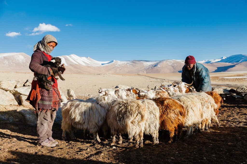 The Himalayan Trail